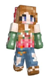 Front of aSambot's skin