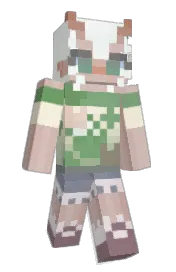 Skin preview