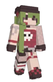 Skin preview