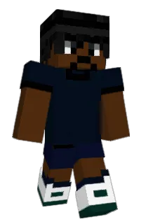 Front of Paplip's skin