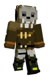 Skin preview