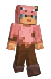 Front of crdm's skin