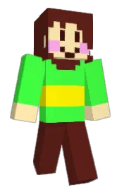 Skin preview