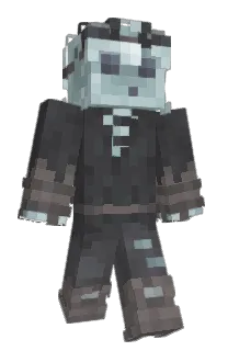 Front of 4CVIT's skin