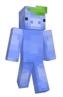 Front of xsim's skin