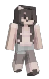 Classic Minecraft skin