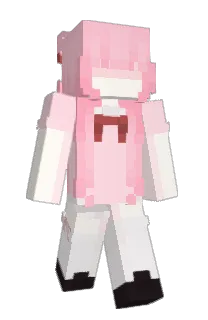 Front of lwuw's skin