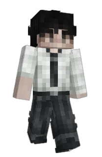 Front of lnsignia's skin