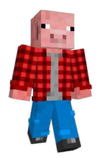 Front of Minecraft skin