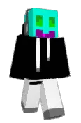 Sslank