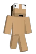 vessie
