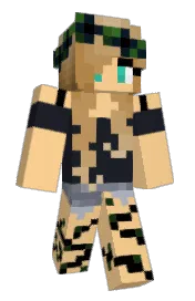 Skin preview