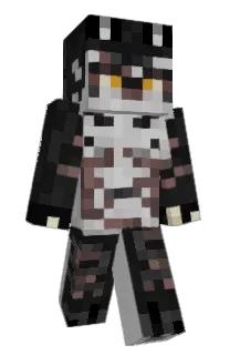 Front of shin_coffe's skin