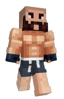Front of CuriouscarpONTOP's skin