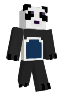d1nce Minecraft avatar full body