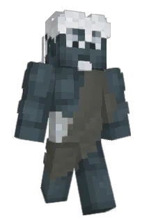 d1solxti0n Minecraft avatar full body