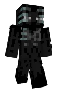 Front of namoryp's skin