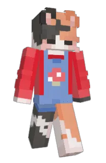 Front of 3Hai's skin