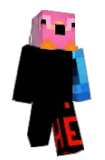 1villi