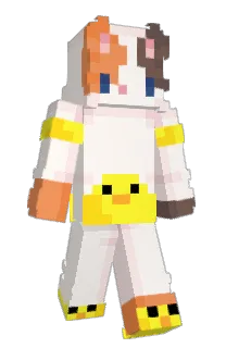 Front of _Nsme_'s skin