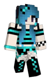 Skin preview
