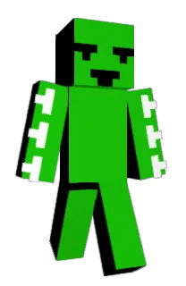 Front of amiyasu's skin