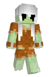 Skin preview