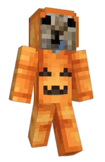 Front of lummoxlum's skin