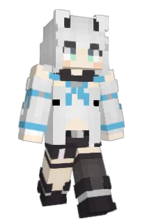 Front of Sagir's skin