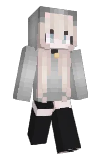 Front of idcccc's skin
