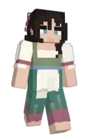 Skin preview