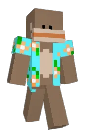 Skin preview