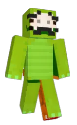 Minecraft skin — Classic model