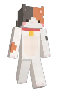Front of Soya52's skin