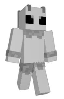 Front of MrAxolotl's skin