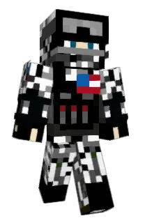 Front of Reminerx's skin