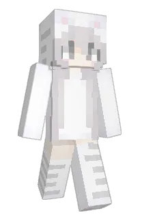 Front of stelsi's skin