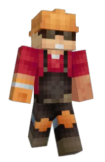 Front of gawrie's skin