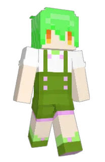 fourchannel's Minecraft skin