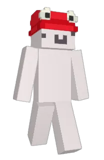 MrSocksMC's Minecraft skin