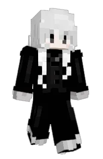 Front of 4RI4's skin