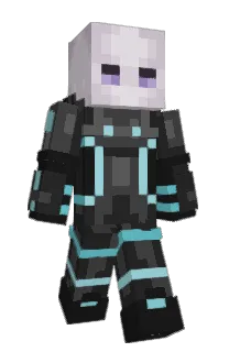 Front of b8rd's skin