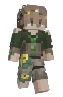 Front of toad_stones's skin