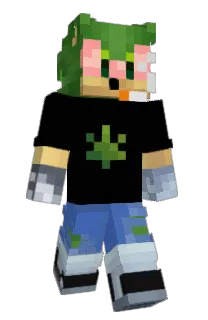 mefa420's Minecraft skin