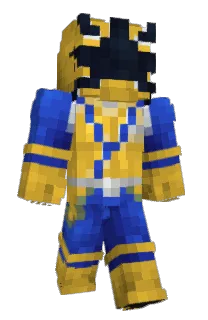 Front of remarry's skin