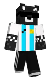 Skin preview