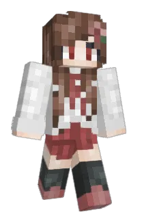 MCCNP's Minecraft skin