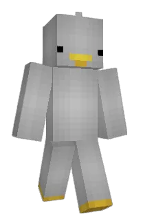 Front of Awarder's skin