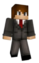 Minecraft skin — Classic model