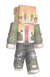 Skin preview